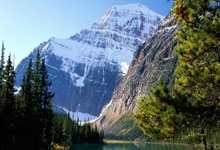 开云体育登录-金色眼泪沸腾时：当勇士梦断奥运，球迷的呐喊震碎星空