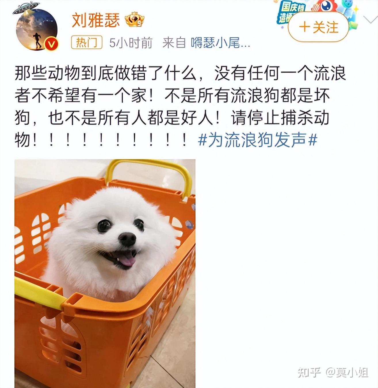 包含全球热议!冰球场外八卦引关注的词条 包含全球热议!冰球场外八卦引关注的词条