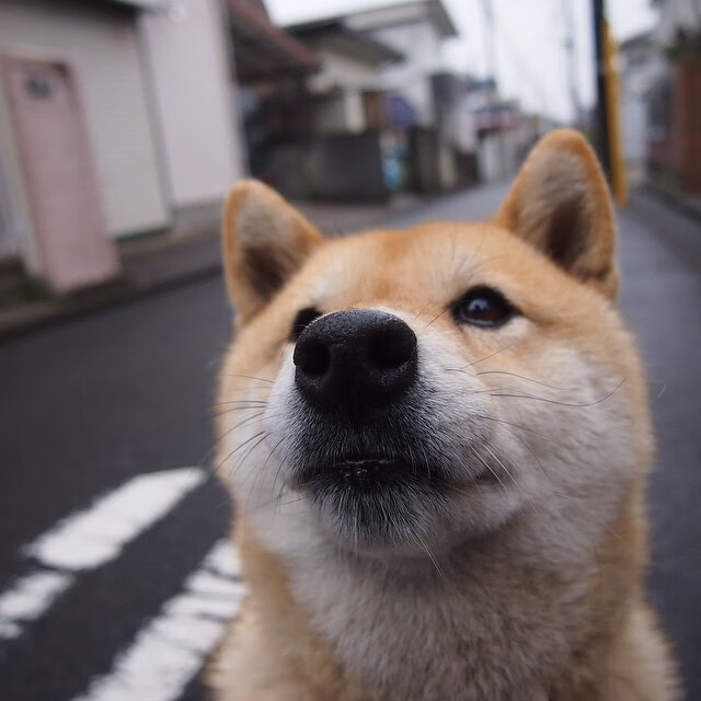 开云sport-冰与火之歌，当萨拉赫的星光划破北京夜空