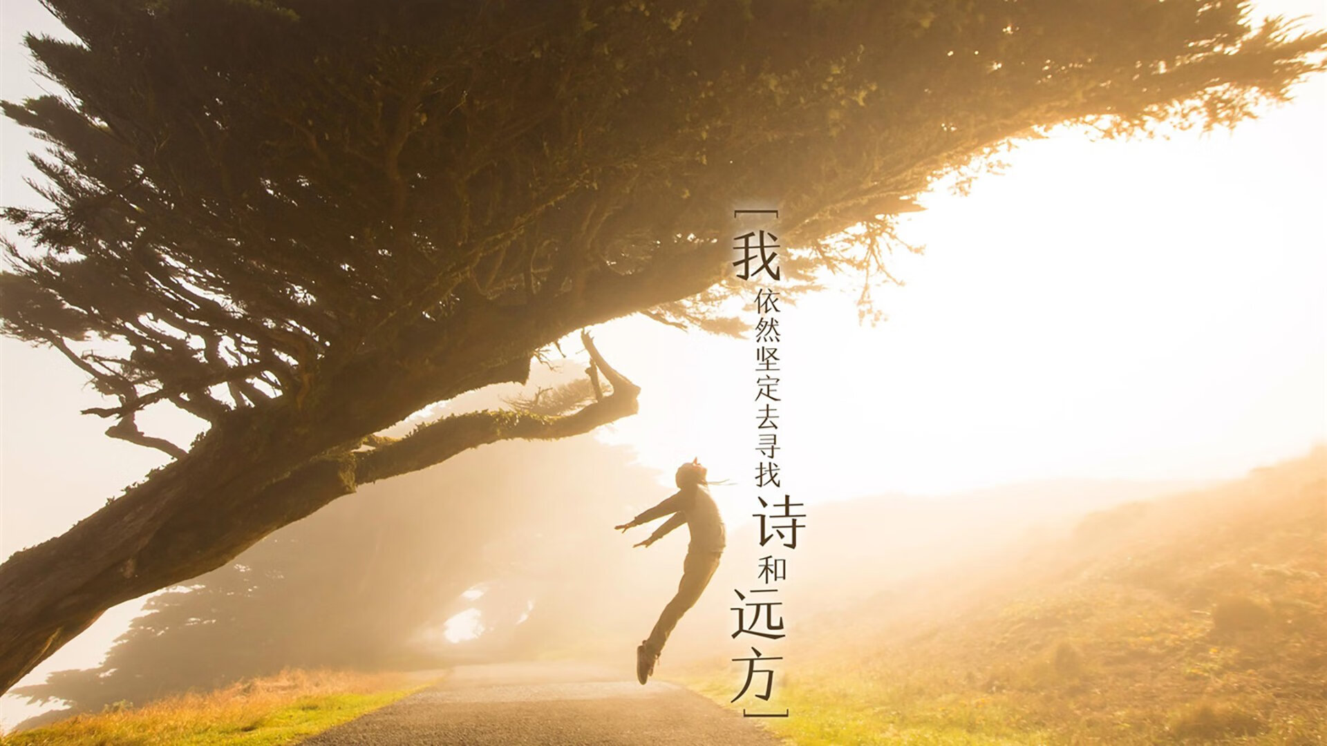 铜墙铁壁?福克斯告诉你何为虚无—速度之刃如何肢解马刺防线