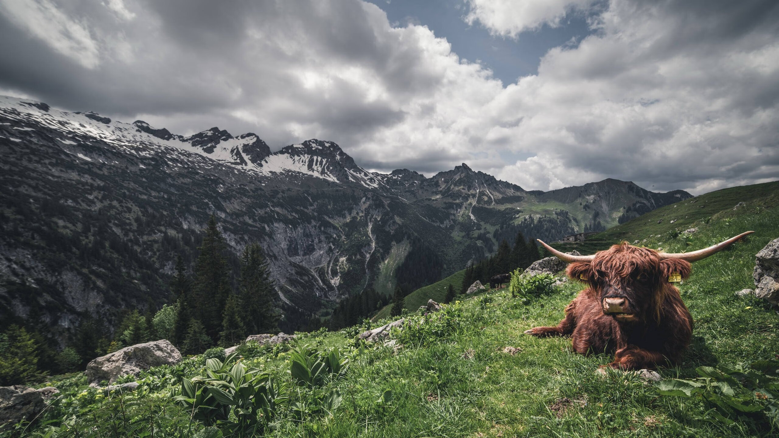 冷门之夜，断矛重铸，奥利维耶如何用21分钟撕碎毕尔巴鄂百年防线？