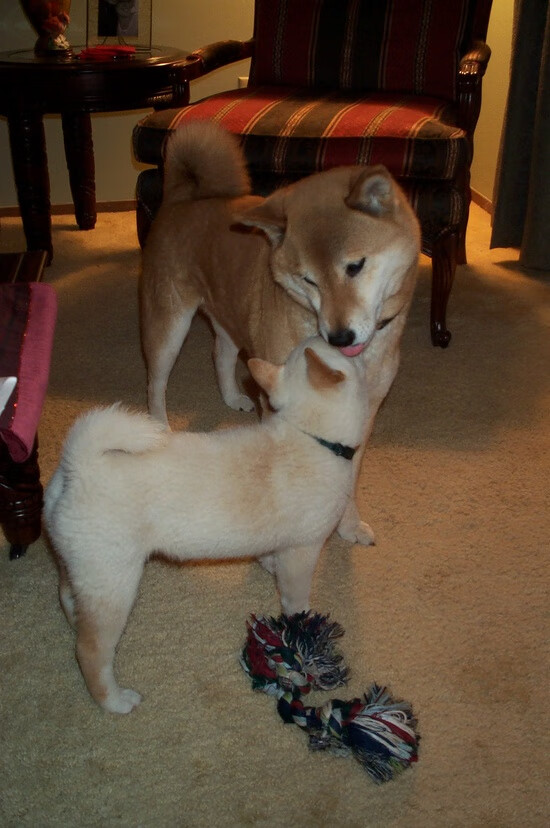 终场哨响，主场收割，当新疆的冰封统治力，遇上锡安的灼热侵略性