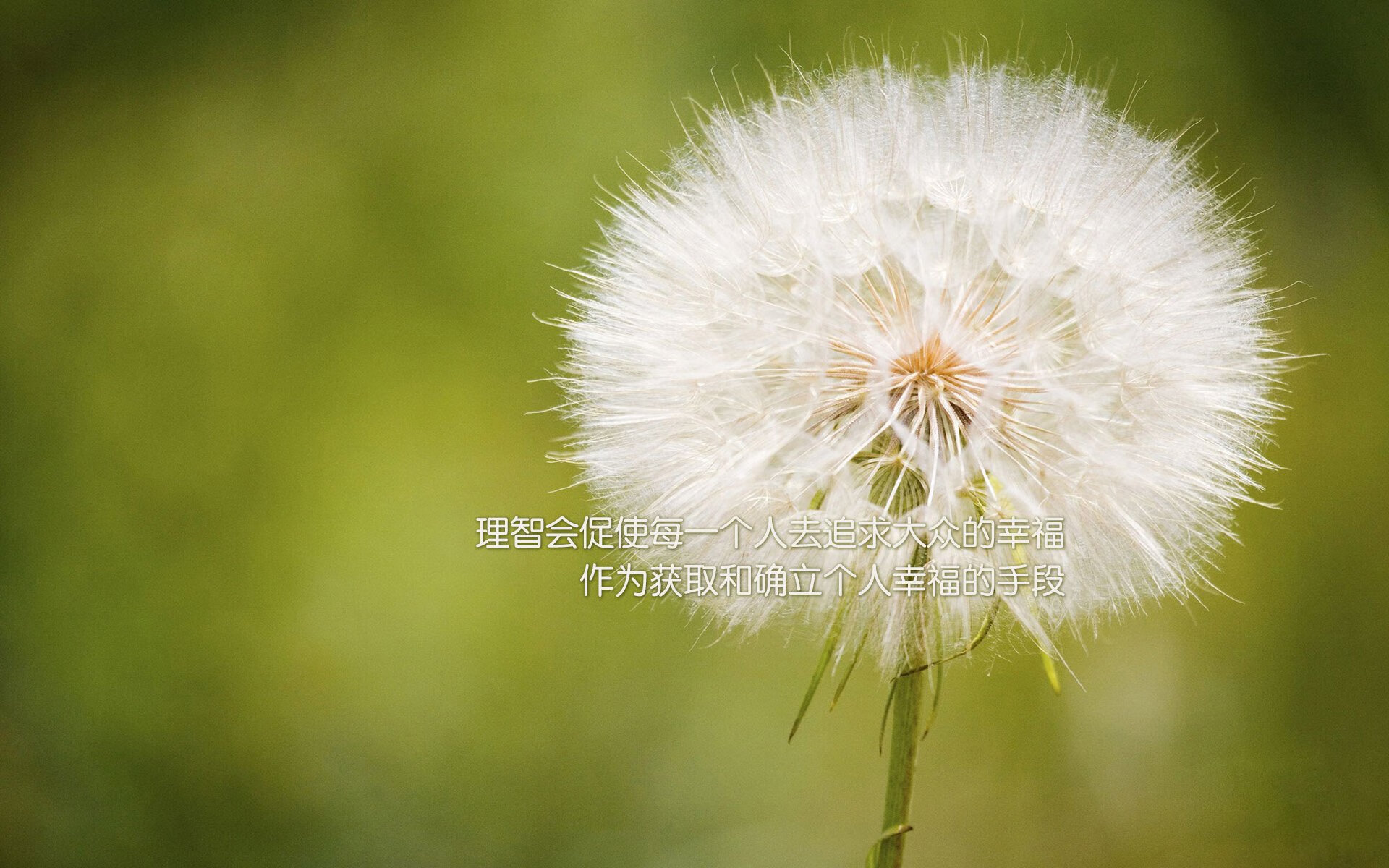 南方之火，巴雷拉单刀收割，亚特兰大终结美国队不败神话